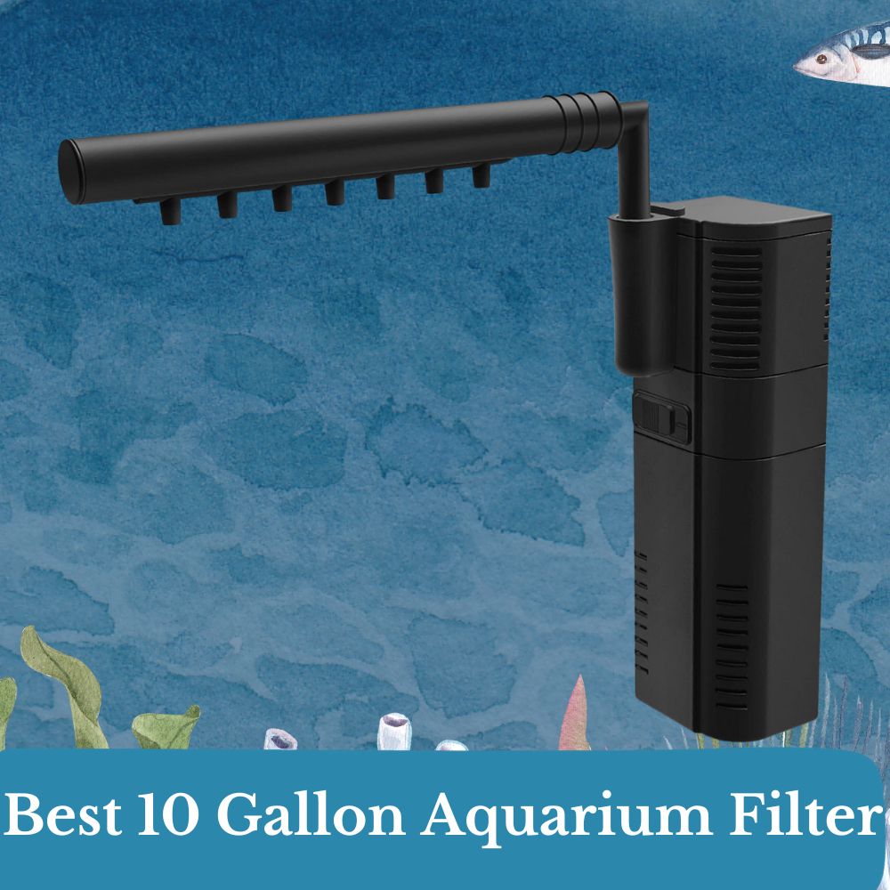 best 10 gallon aquarium filter