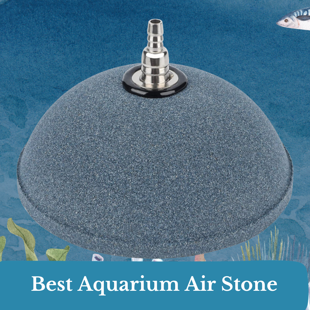 best aquarium air stone