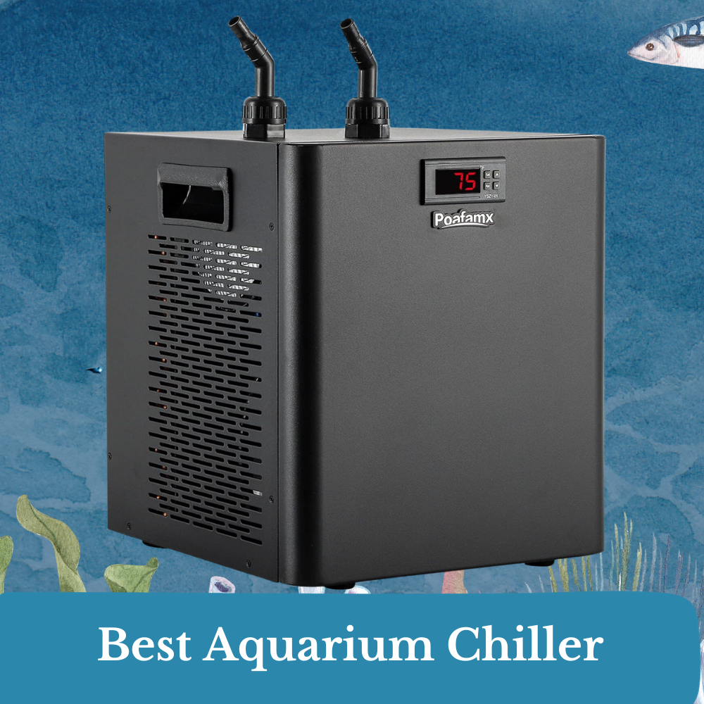 best aquarium chiller