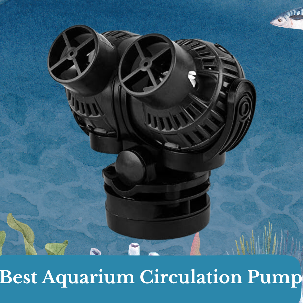 best aquarium circulation pump