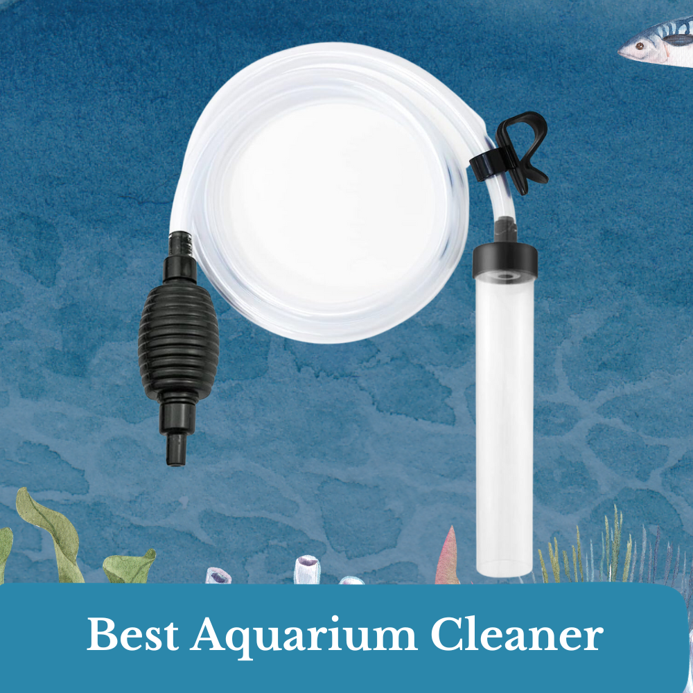 best aquarium cleaner