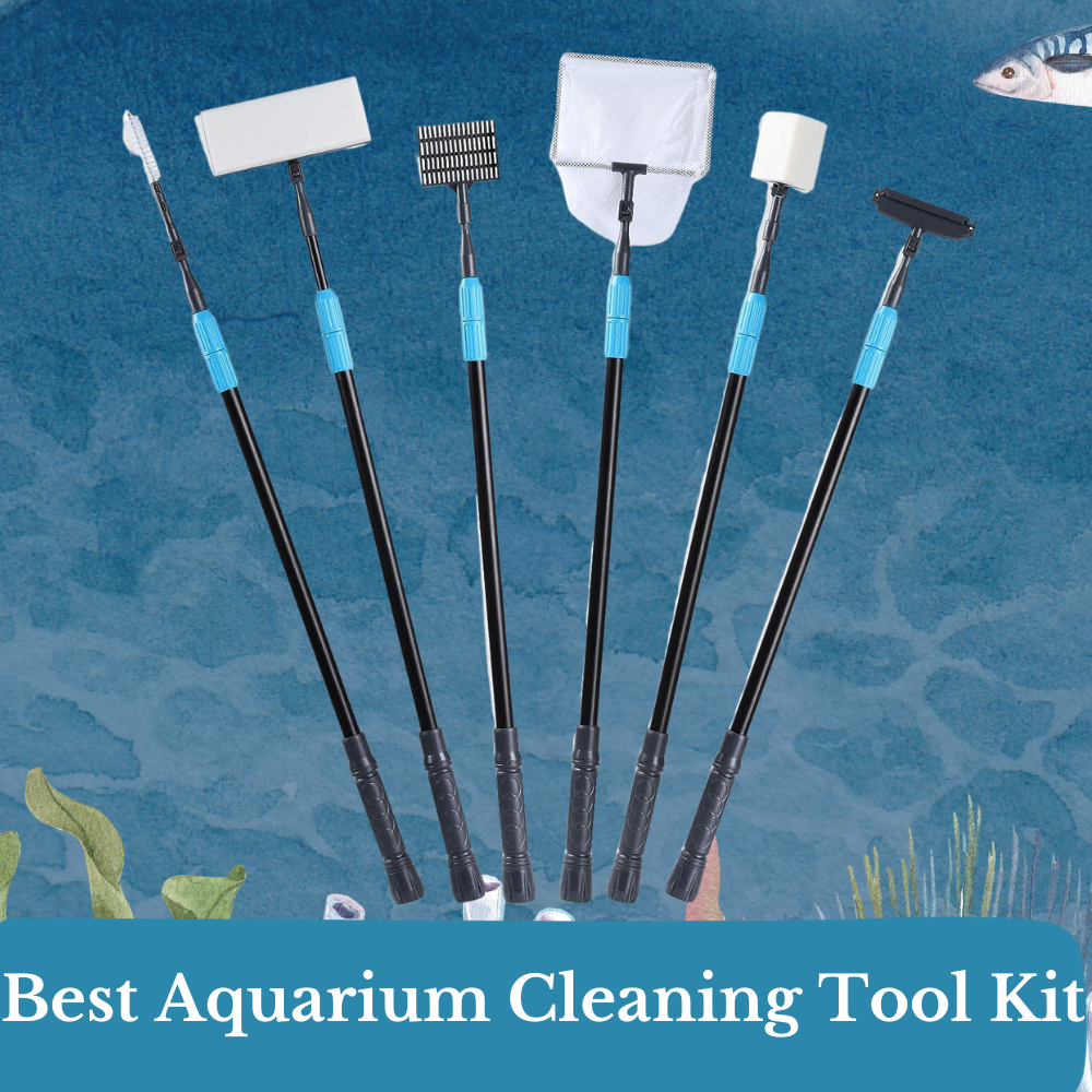 best aquarium cleaning tool kits