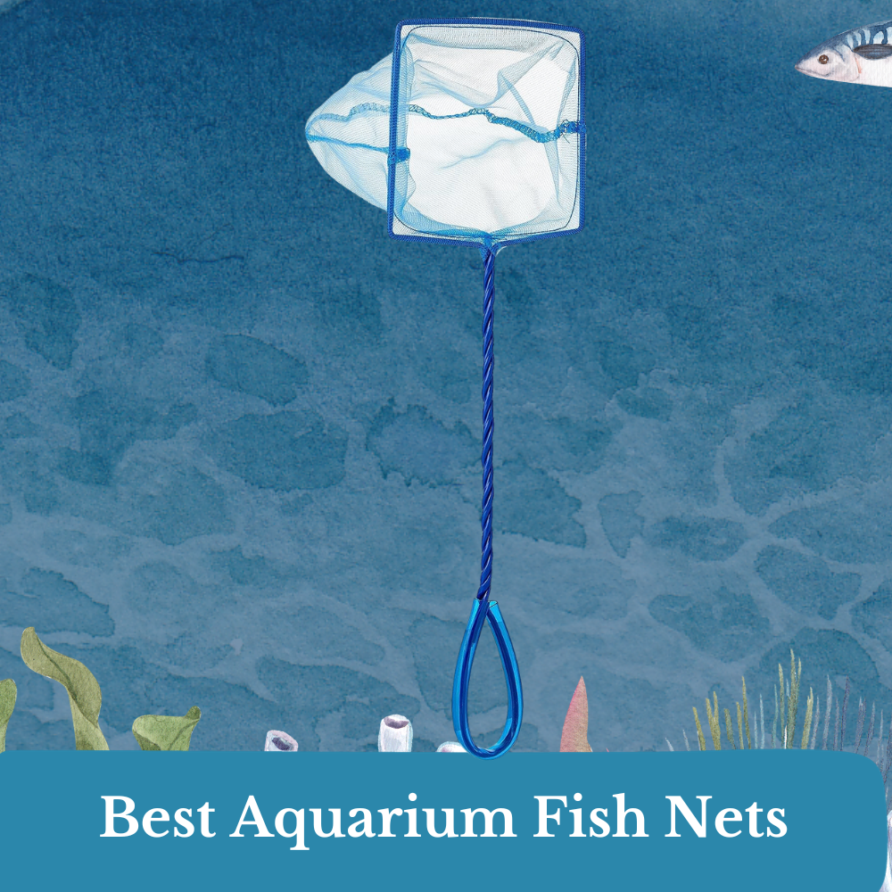 best aquarium fish nets