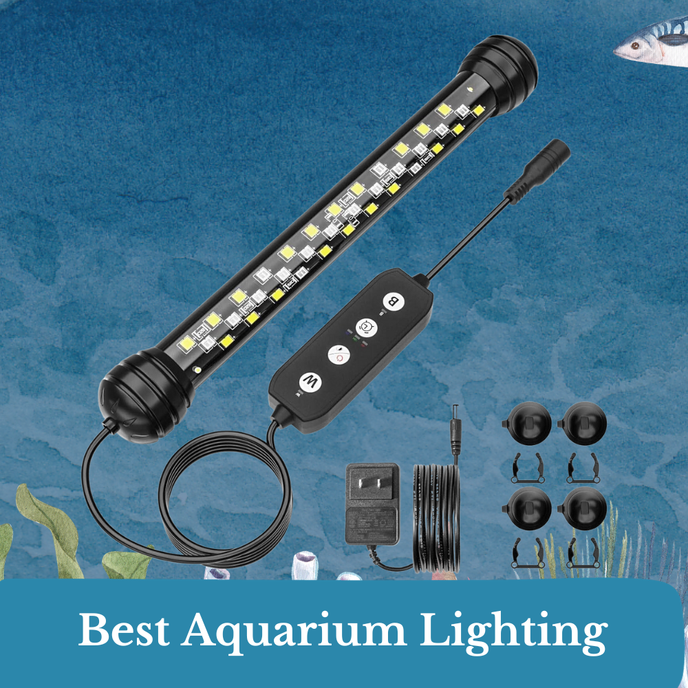 best aquarium lighting