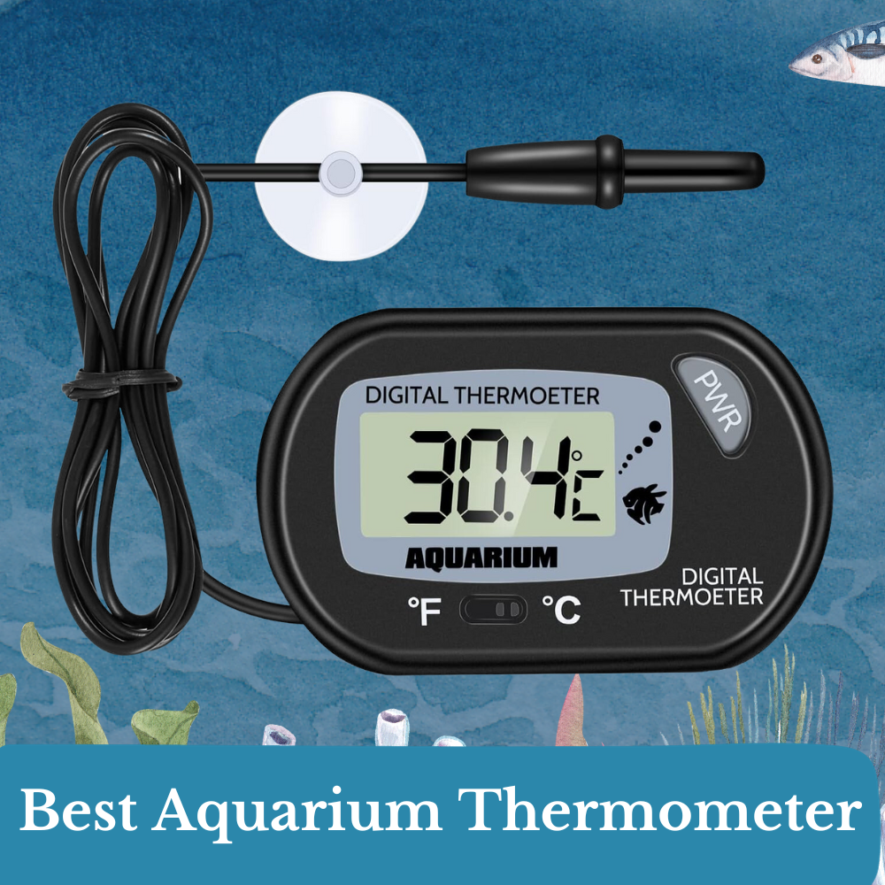 best aquarium thermometer