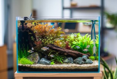 nano aquarium